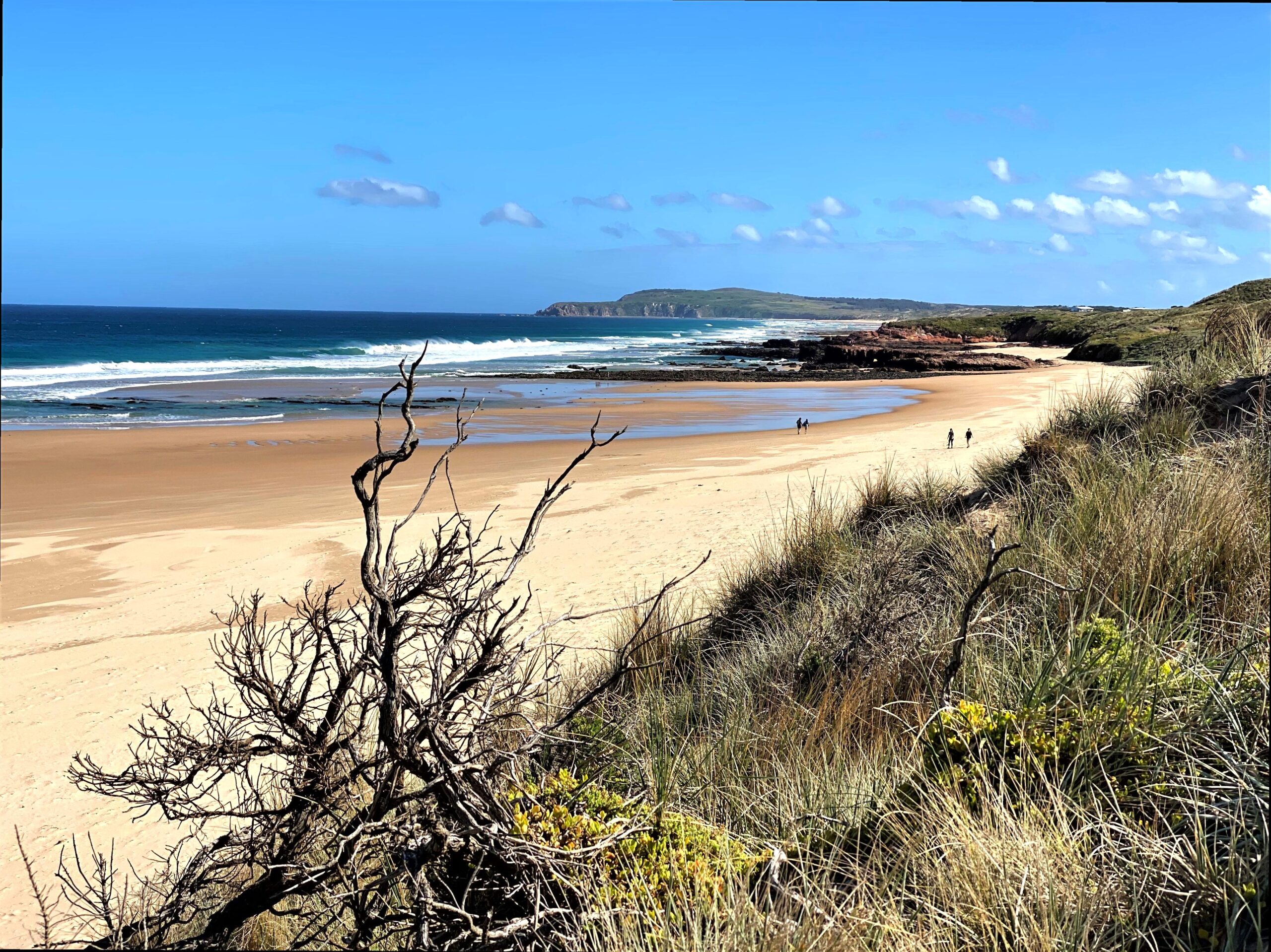 Discovering the Wonders of Forrest Caves by the Coast