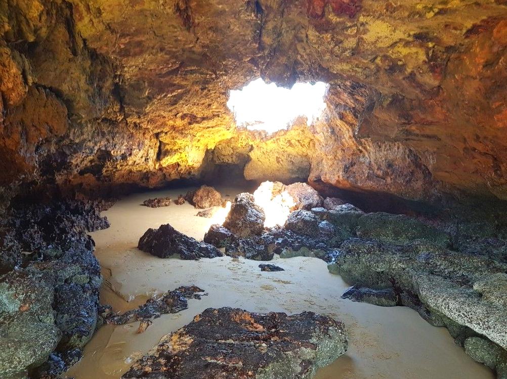 Forrest Caves: The Geological Treasures of the Coastline