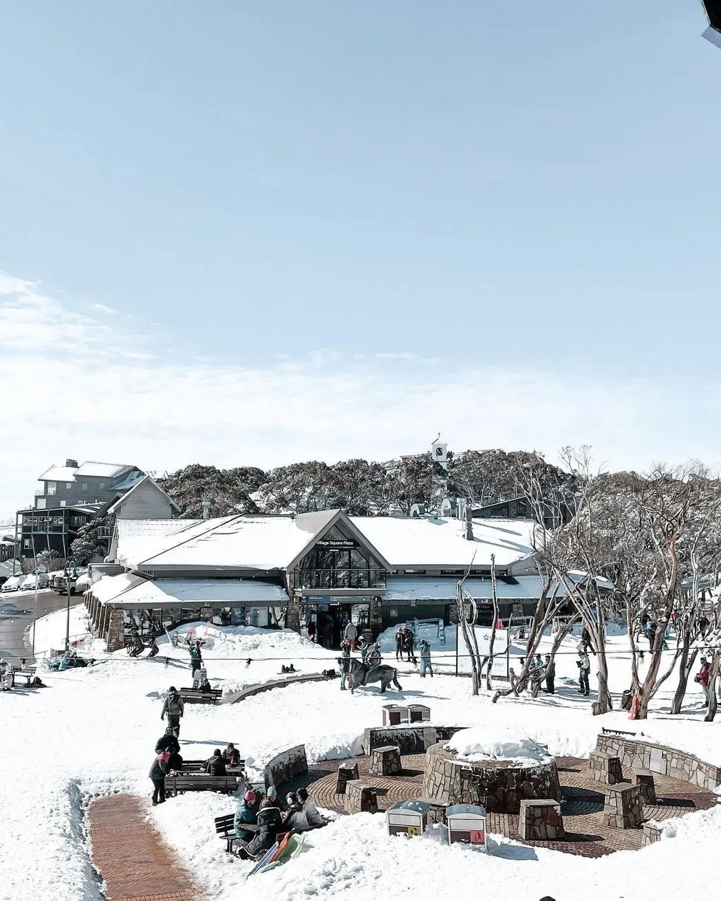 Quick Comparison Which Resort Suits Each Best