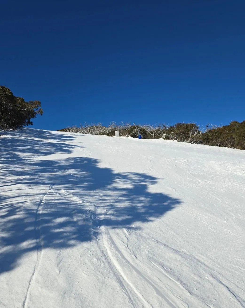 Which snow resort in Victoria is right for you